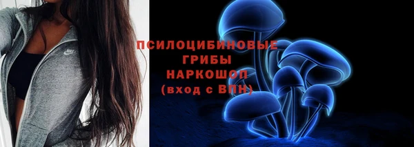 2c-b Алзамай