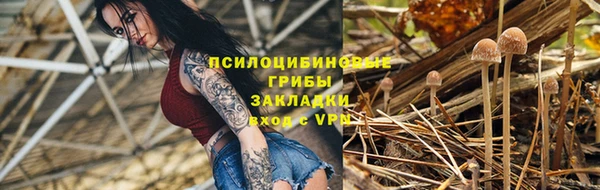 a pvp Алексеевка